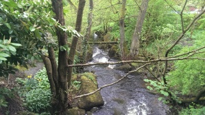 Tributary of the River Derwent